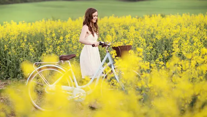 Foto: copyright Shutterstock.com