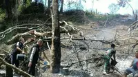 Titik api muncul di pagi dan sore hari di jalinsum Musi Rawas. (Liputan6.com/Raden Fajar)