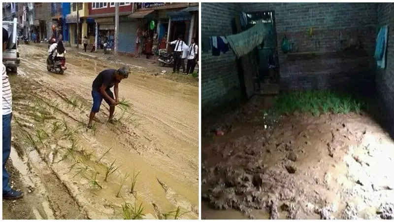 6 Penampakan Sawah Nyeleneh Ini Bikin Tepuk Jidat