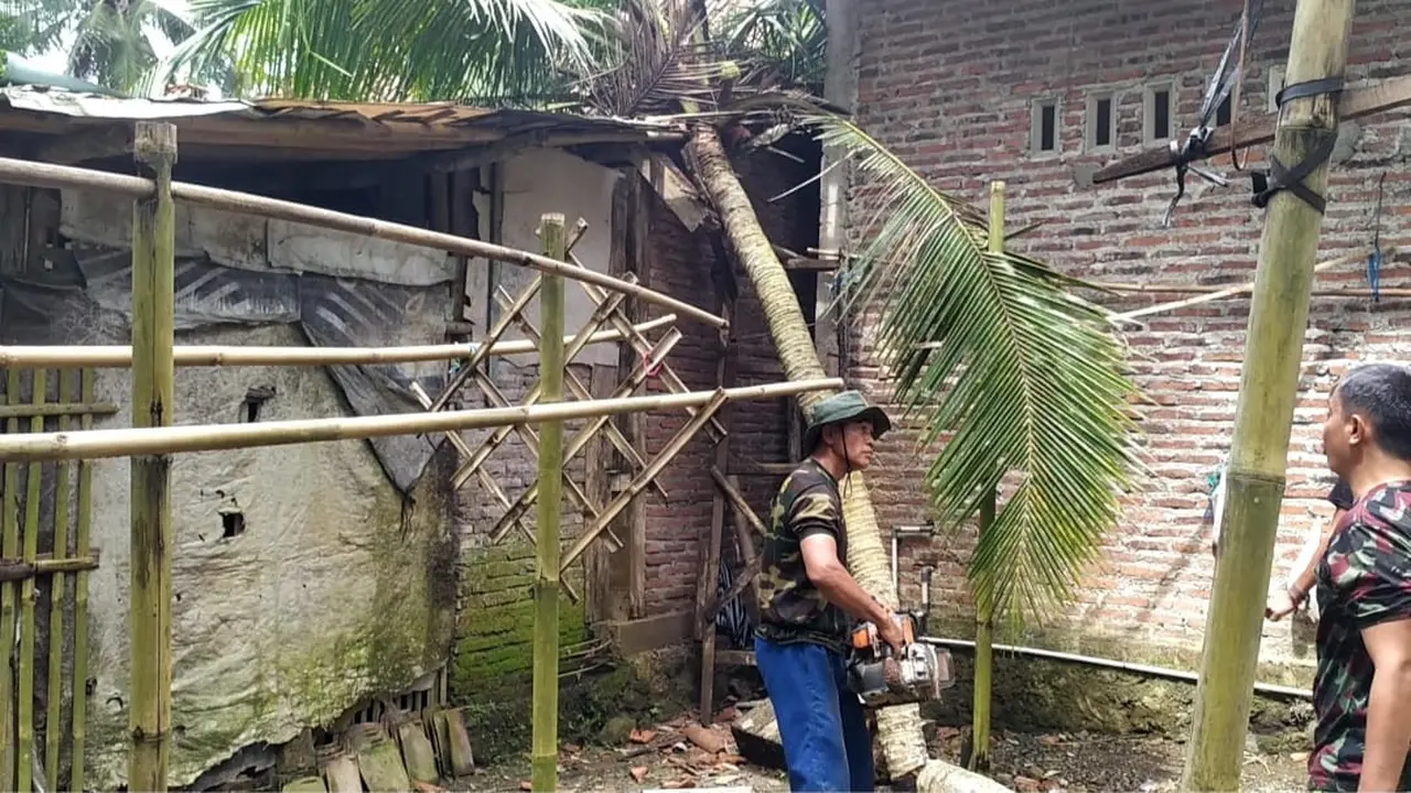 Angin kencang disertai hujan deras menerjang Desa Klapagading, Wangon, Banyumas dan menyebabkan pohon bertumbangan. Beberapa di antaranya menimpa rumah penduduk. (Foto: Liputan6.com/Coki S)