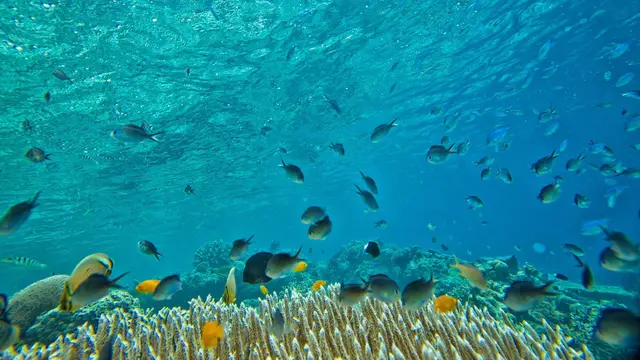 Wisata Batam Terpopuler