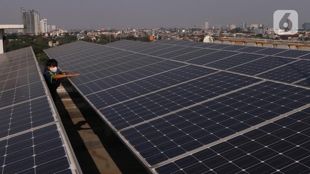 Konservasi Adalah Upaya Pemeliharaan Sesuatu, Pahami Tujuan dan Manfaatnya