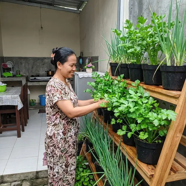 Tanaman yang Bisa Menjadi Pengganti Penyedap Alami