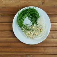 ilustrasi daun bawang dan lokio