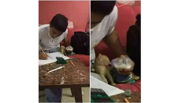 6 Potret Orang Kerja Sambil Bawa Hewan Peliharaan, Efek Terlalu Sayang