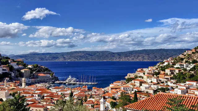 Hydra