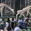 Tarif Masuk Ragunan Diusulkan Naik Jadi Rp 10 Ribu