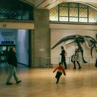 Patung kuno yang megah di lorong museum memberikan gambaran betapa visualnya proses belajar sejarah secara langsung. [Dok/Pexels.com/Anurag Jamwal].