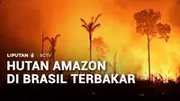 Hutan Amazon di Brasil Terbakar