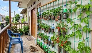 Ide Kebun Buah Vertikultur Low Budget