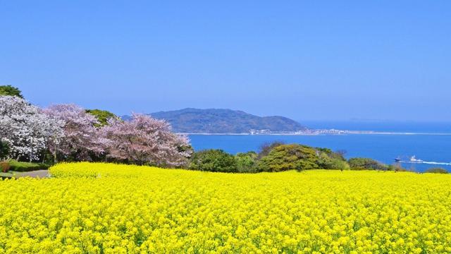 Tempat Paling Indah dan Unik di Dunia (sumber: travelpocket)