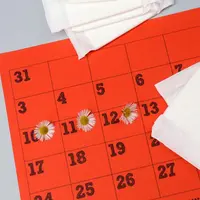 Bolehkah Menggunakan Pantyliner Setiap Hari?