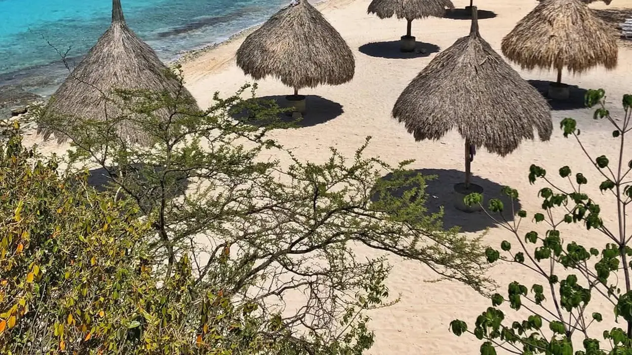 Wisata Pantai di Curacao