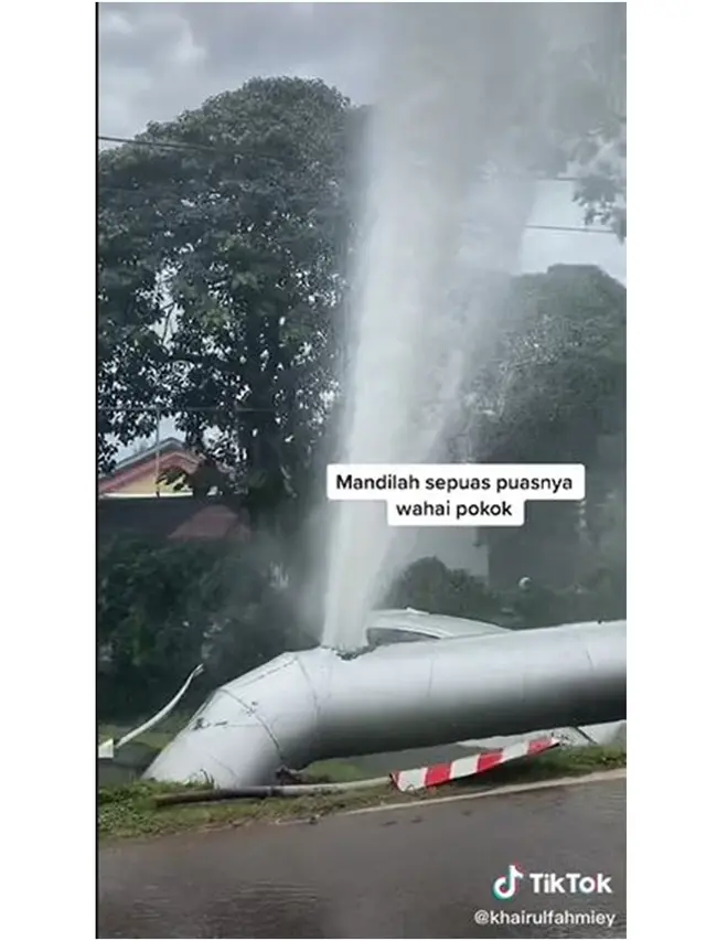 Dikira Kejadian Alam, Pria Ini Rekam Penampakan Pohon Bak Diguyur Air dari Langit