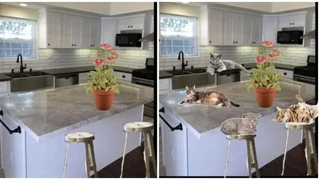 Viral Editan Gagal Iklan Apartemen Kosong, Gambar Propertinya Bikin Ketawa