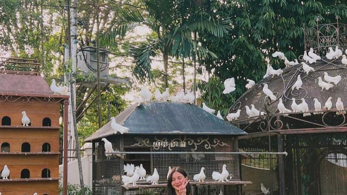7 Model Outer batik Lengan Panjang Kekinian untuk Acara Kondangan hingga Ngantor