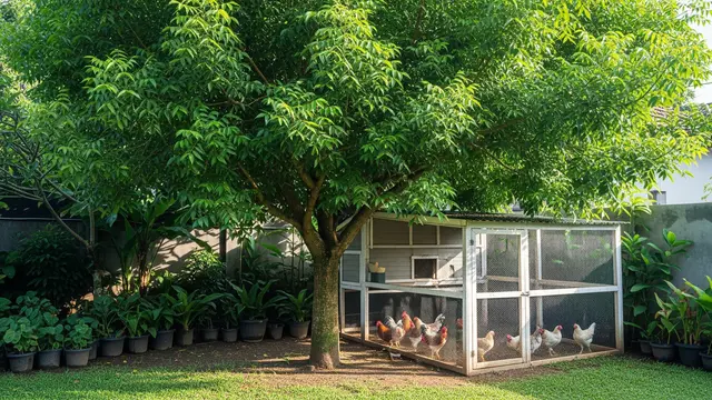 Pohon Mimba (Neem)