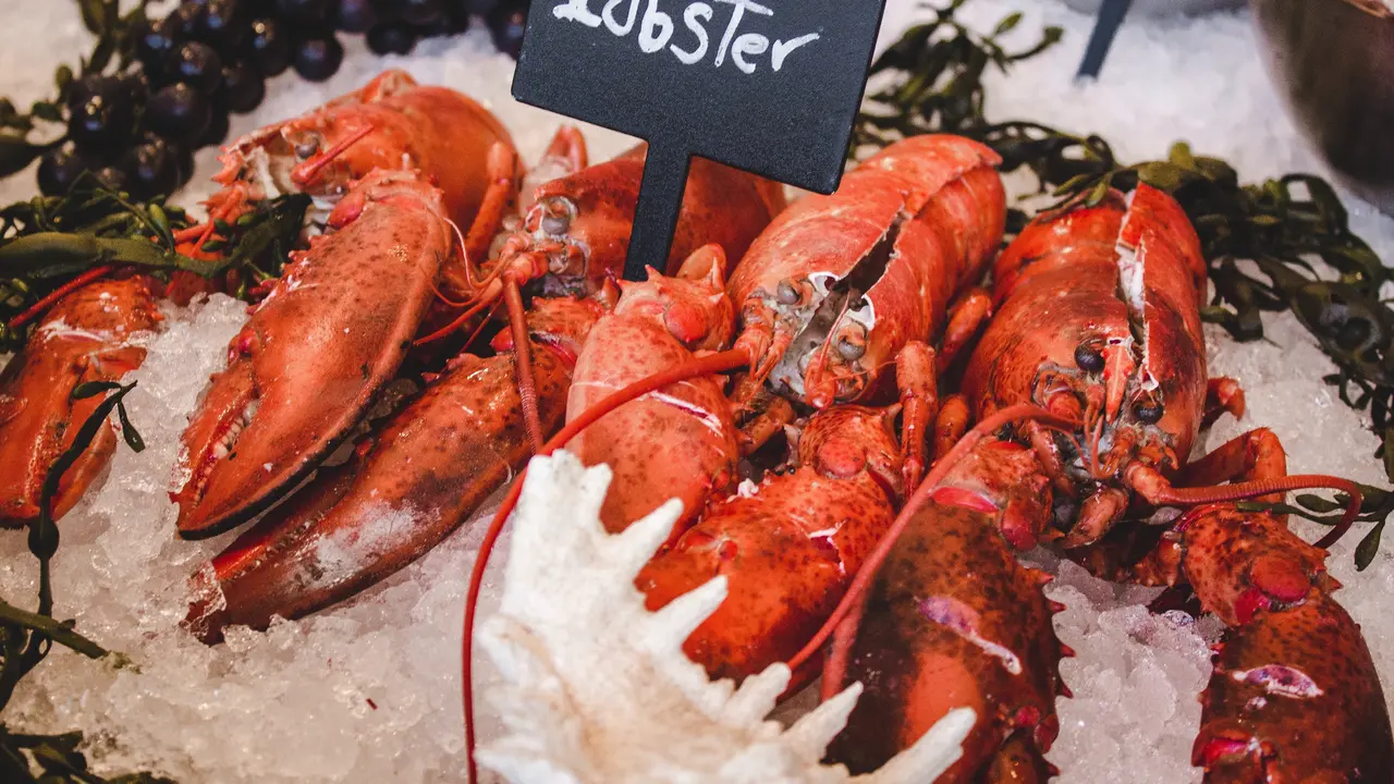 Ilustrasi Lobster