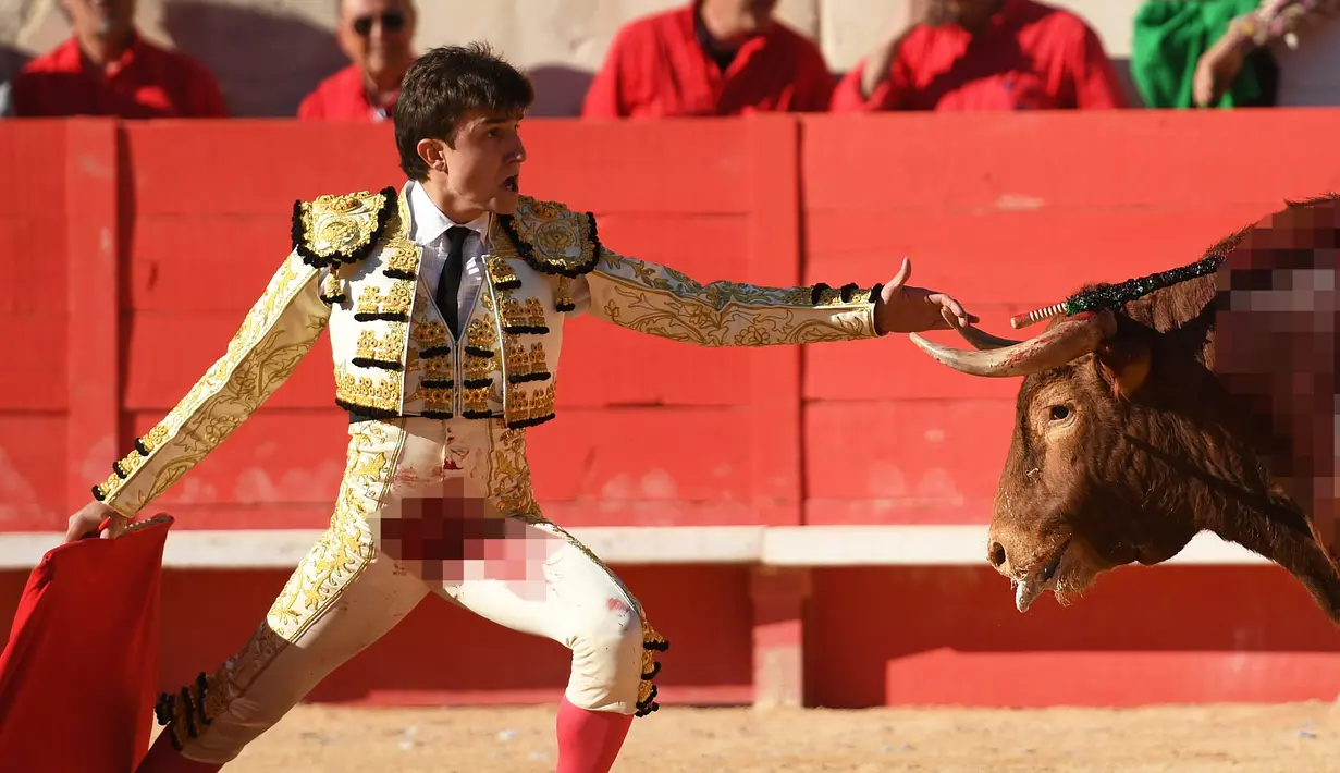 Matador Spanyol, Jonathan Varea saat pertempuran banteng pada 15 Mei 2016 di acara Nimes Pentakosta Feria di Nimes, Perancis. (AFP PHOTO / PASCAL Guyot)