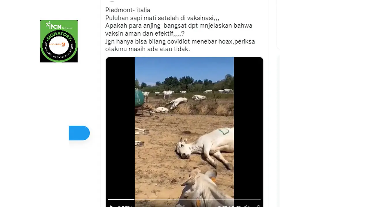 Tangkapan layar klaim puluhan sapi mati setelah divaksinasi
