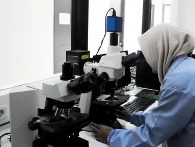 Petugas sedang meneliti di ruang mikroskop Laboratorium Uji Balai Riset Budidaya Ikan Hias (BRBIH), Depok, Jabar, Jumat (8/3). Balai Riset memiliki lima laboratorium untuk mendukung fungsi penelitian. (Liputan6.com/Herman Zakharia)