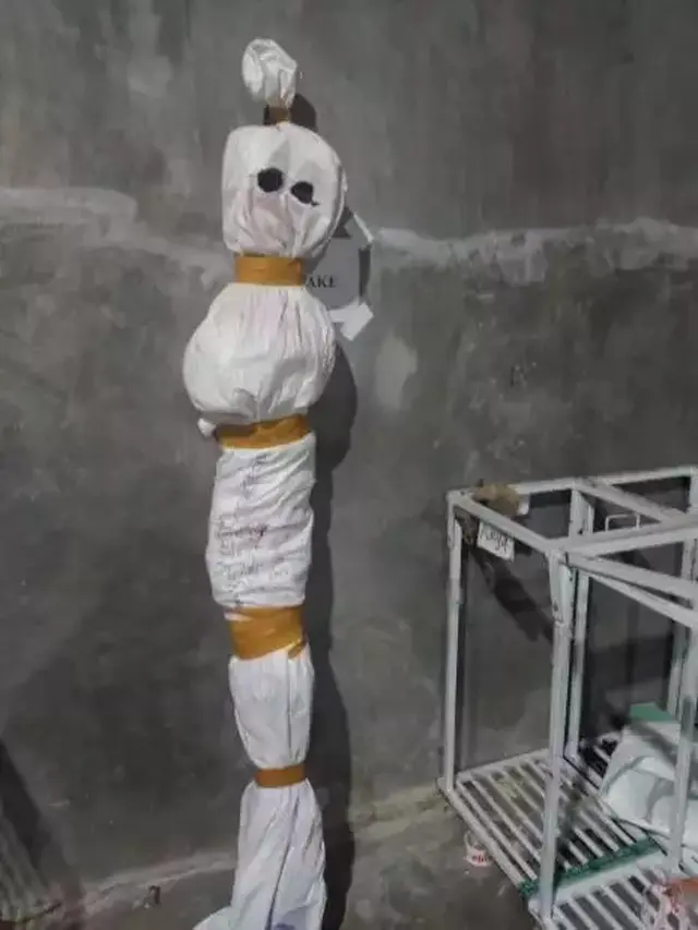 6 Potret Paket Barang Online Seperti Pocong Ini Nyeleneh, Sukses Bikin Kaget