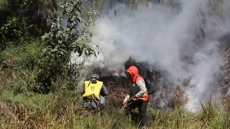 Angin Kencang Bikin Titik Api di Lereng Gunung Batok Menuju Kawasan Gunung Bromo
