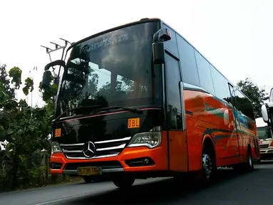 Tourismo merupakan bus produksi Adi Putro yang pernah dipamerkan di IIMS 2012. Bus ini memiliki desain elegan yang terlihat dari grill depan berbahan chrome dan bemper sporty. Bus ini dibangun pada sasis Mercedes-Benz OH 1830 dan satu-satunya di Indonesia dan dimiliki oleh Safari Dharma Raya