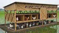 7 Model Kandang Ayam Bambu Modern Sirkulasi Udara Maksimal untuk Ternak Rumahan