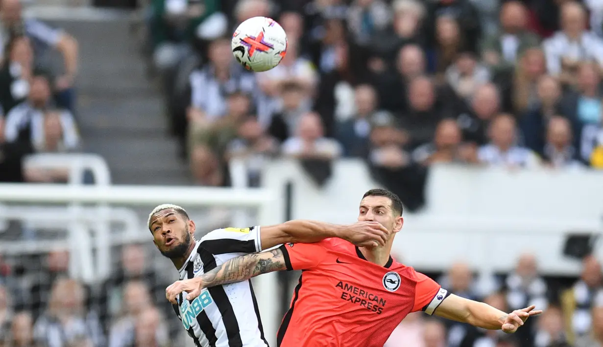 <p>Duel Newcastle vs Brighton di St. James Park dimenangkan tuan rumah dengan skor telak 4-1. (AFP/Oli Scarff)</p>