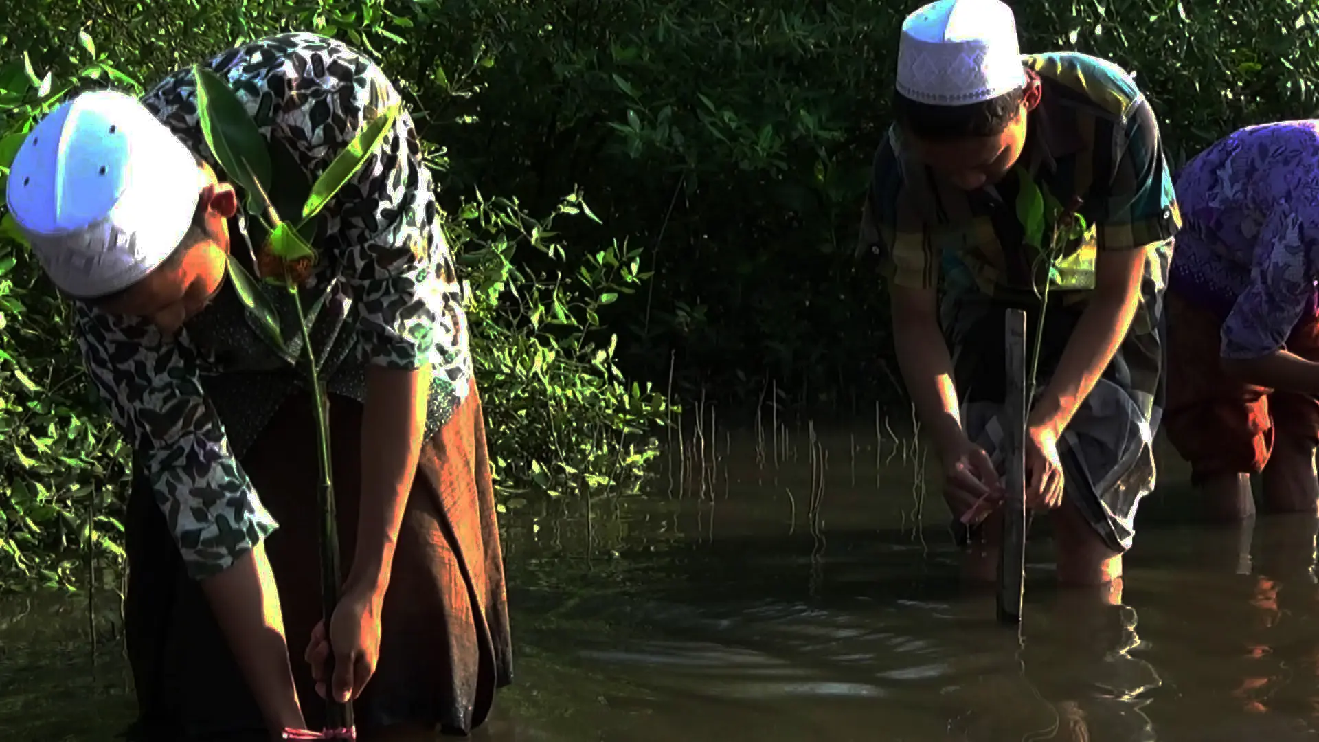 Aksi menanam pohon mangrove di Pantai Ketapang, Kota Probolinggo, Jawa Timur, memperingati Hari Laut Sedunia. (Liputan6.com/Dian Kurniawan)