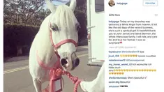 Lady Gaga berjanji akan merawat dan memelihara kuda itu sepenuh hati selamanya.