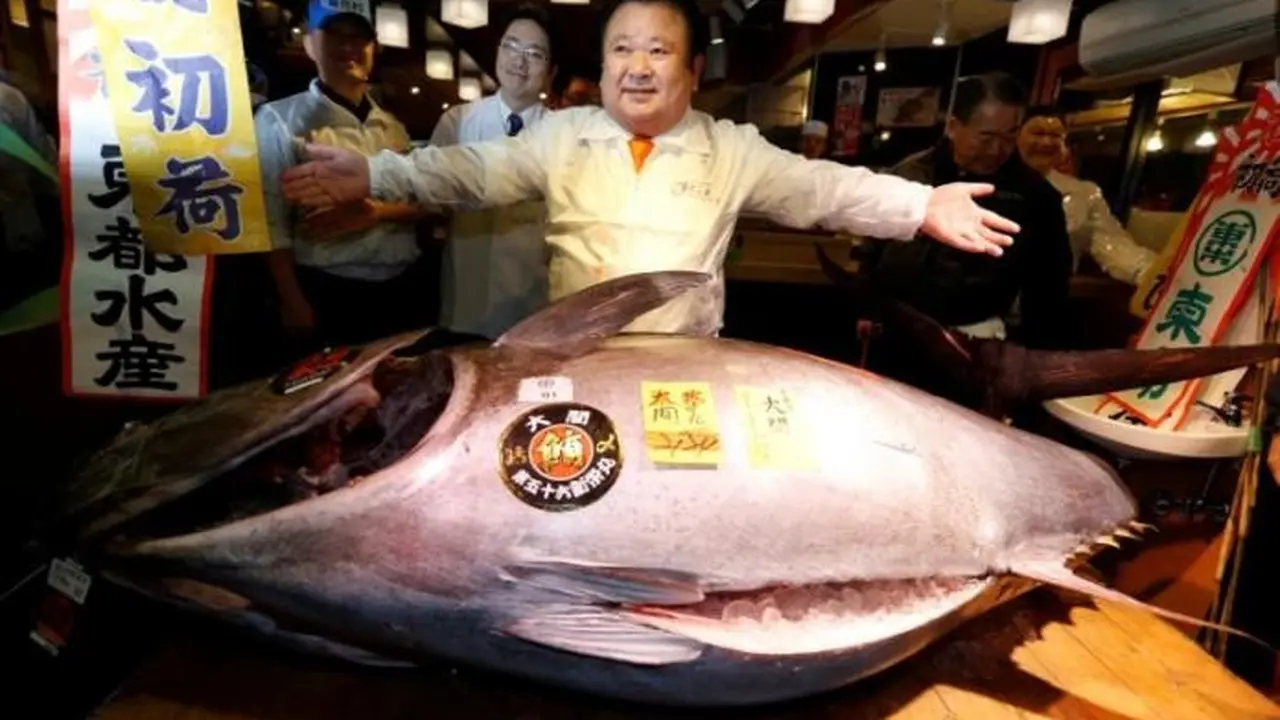 Ikan tuna langka Rp 8,1 Miliar (foto: reuters)