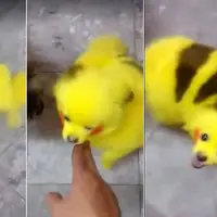 dok: CCTV/facebook.com