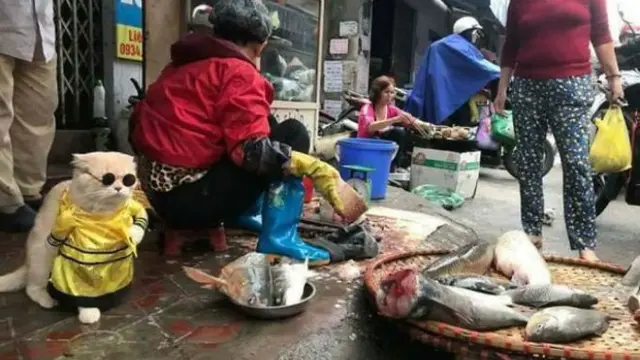 facebook.com/ngongiolangthangviem/ntn