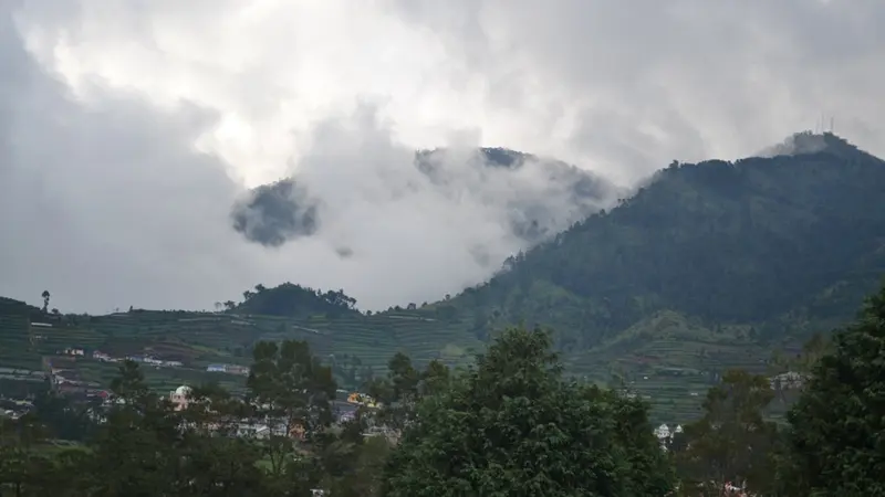 Kawasan Dataran Tinggi Dieng, Jawa Tengah. (Foto: Liputan6.com/Muhamad Ridlo)