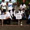 Penanaman Mangrove di Brebes Perkuat Perlindungan Pesisir
