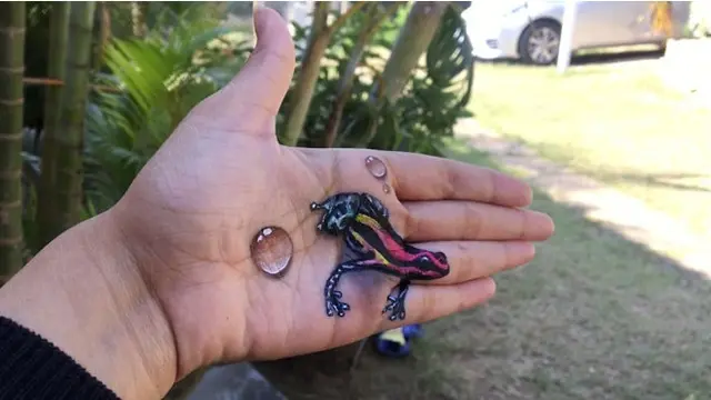 Gadis Tuna Rungu Ini Bikin Lukisan 3D di Tangan, 7 Hasilnya Kreatif Banget