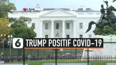 trump positif