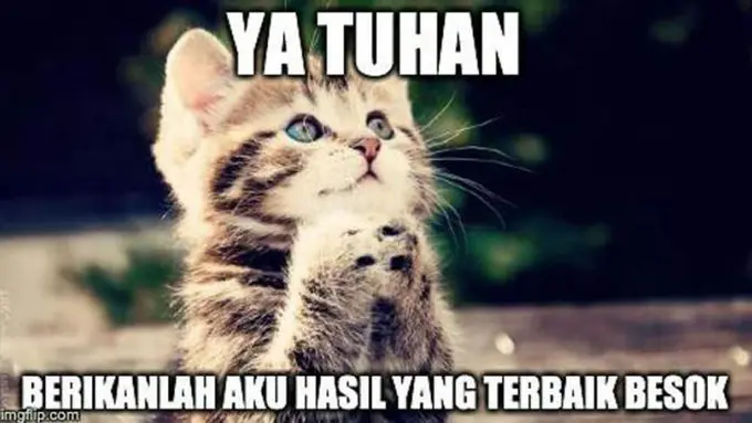 Stres Cari Kampus? Nikmati Saja Dulu Meme SNMPTN Biar Ceria!