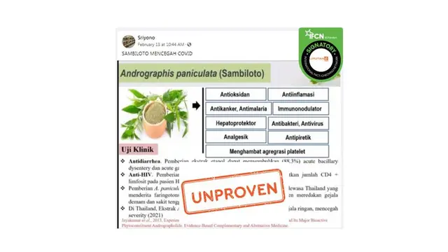 Cek Fakta Sambiloto cegah dan sembuhkan covid-19