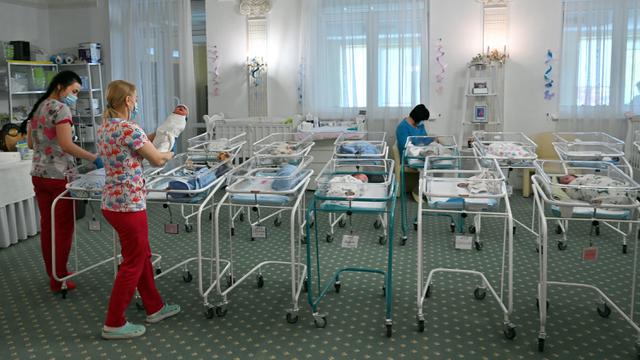 FOTO: Lockdown, 100 Bayi dari Ibu Pengganti Telantar di Ukraina