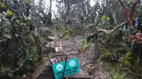 Gunung Tambuyukon terletak di area Taman Kinabalu. Gunung ini memiliki ketinggian 2.579 mdpl. (Dok: Gunung Bagging&nbsp;https://www.gunungbagging.com/tambuyukon/nggallery/page/1)