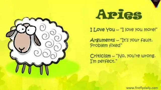 copyright by fireflydaily.com