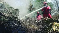 Proses pemadaman kebakaran lahan oleh petugas agar tidak terjadi bencana kabut asap. (Liputan6.com/M Syukur)