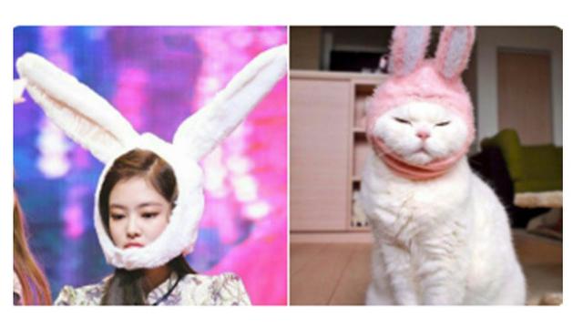 Ekspresi Jennie (Sumber: Twitter: /jenniesofty)