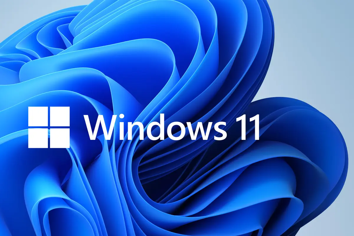 Windows 11