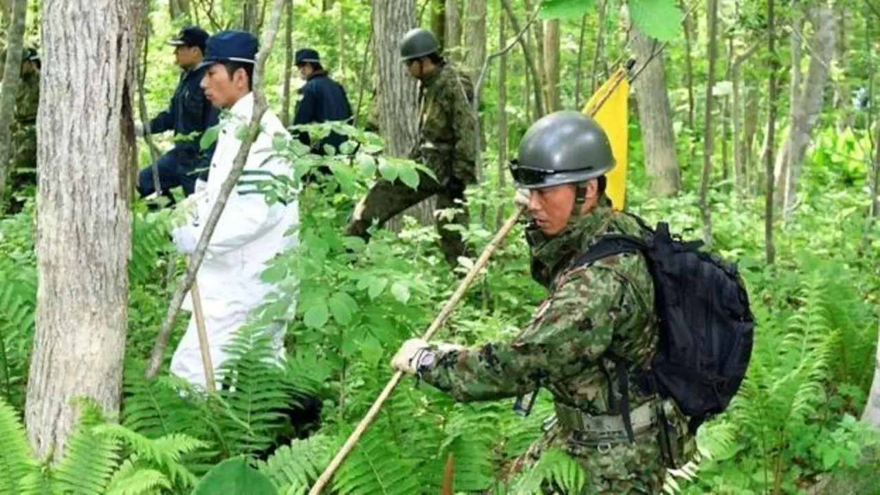 Bocah Hilang Sepekan di Hutan 'Sarang' Beruang Ditemukan Hidup 