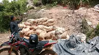 Lokasi penambangan emas ilegal yang ditertibkan oleh Polres Way Kanan. Foto : (Istimewa).