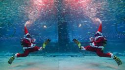 Seorang penyelam yang mengenakan kostum sinterklas tampil di antara kawanan ikan sarden di Coex Aquarium, Seoul, Selasa (18/12). Coex Aquarium merupakan dunia laut yang terbesar di Korea Selatan dan rumah bagi 40.000 makhluk laut (AP Photo/Ahn Young-joon)